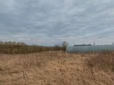 ГП16928452.Земельный участок.Общий вид объекта_5.jpg