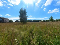 ГП16951892.Земельный участок.Общий вид объекта_3.jpg