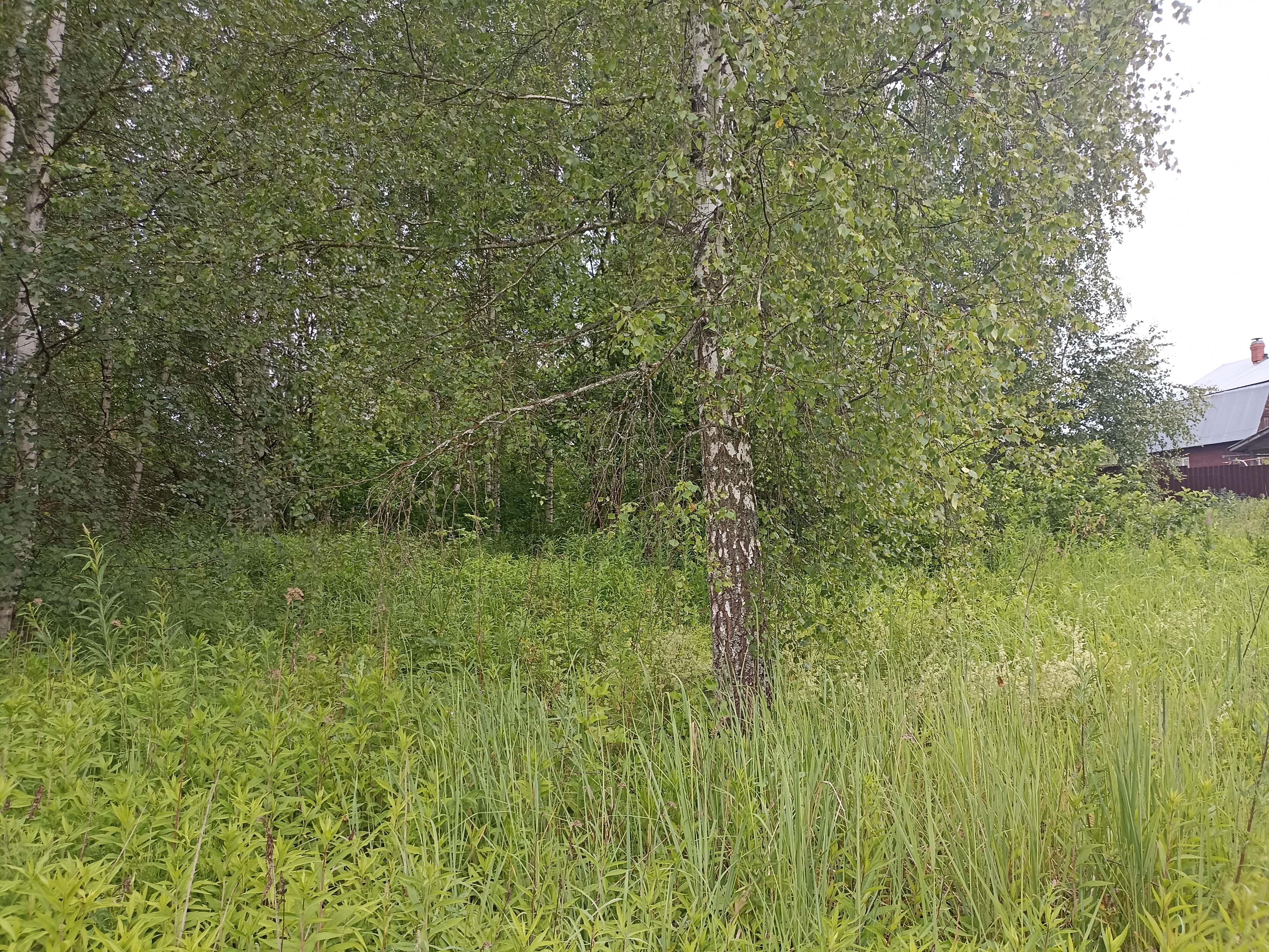 ГП16867586.Земельный участок.Общий вид объекта_5.jpg