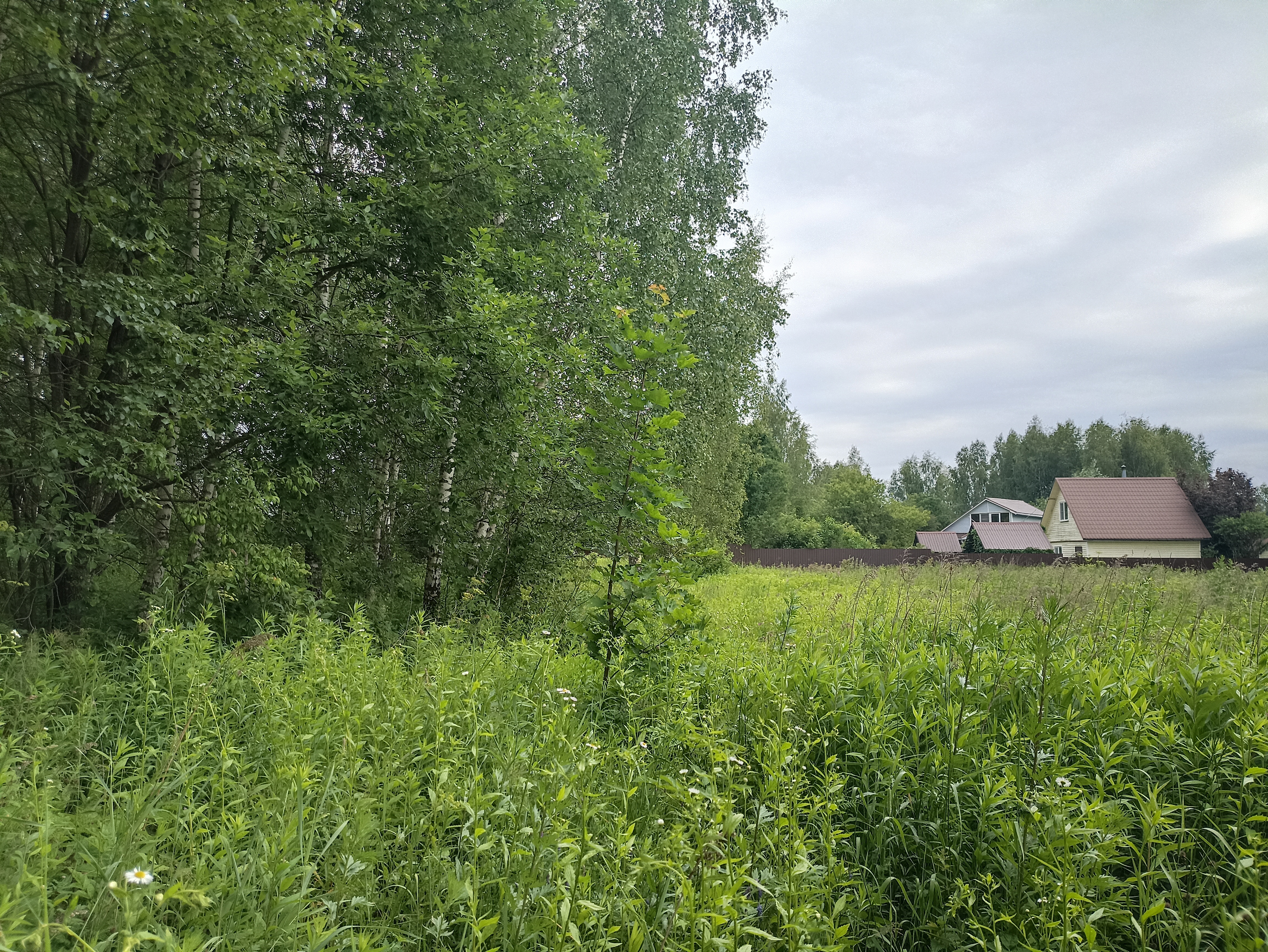 ГП16867586.Земельный участок.Общий вид объекта.jpg