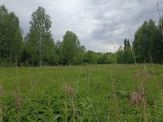 ГП16867586.Земельный участок.Общий вид объекта_4.jpg