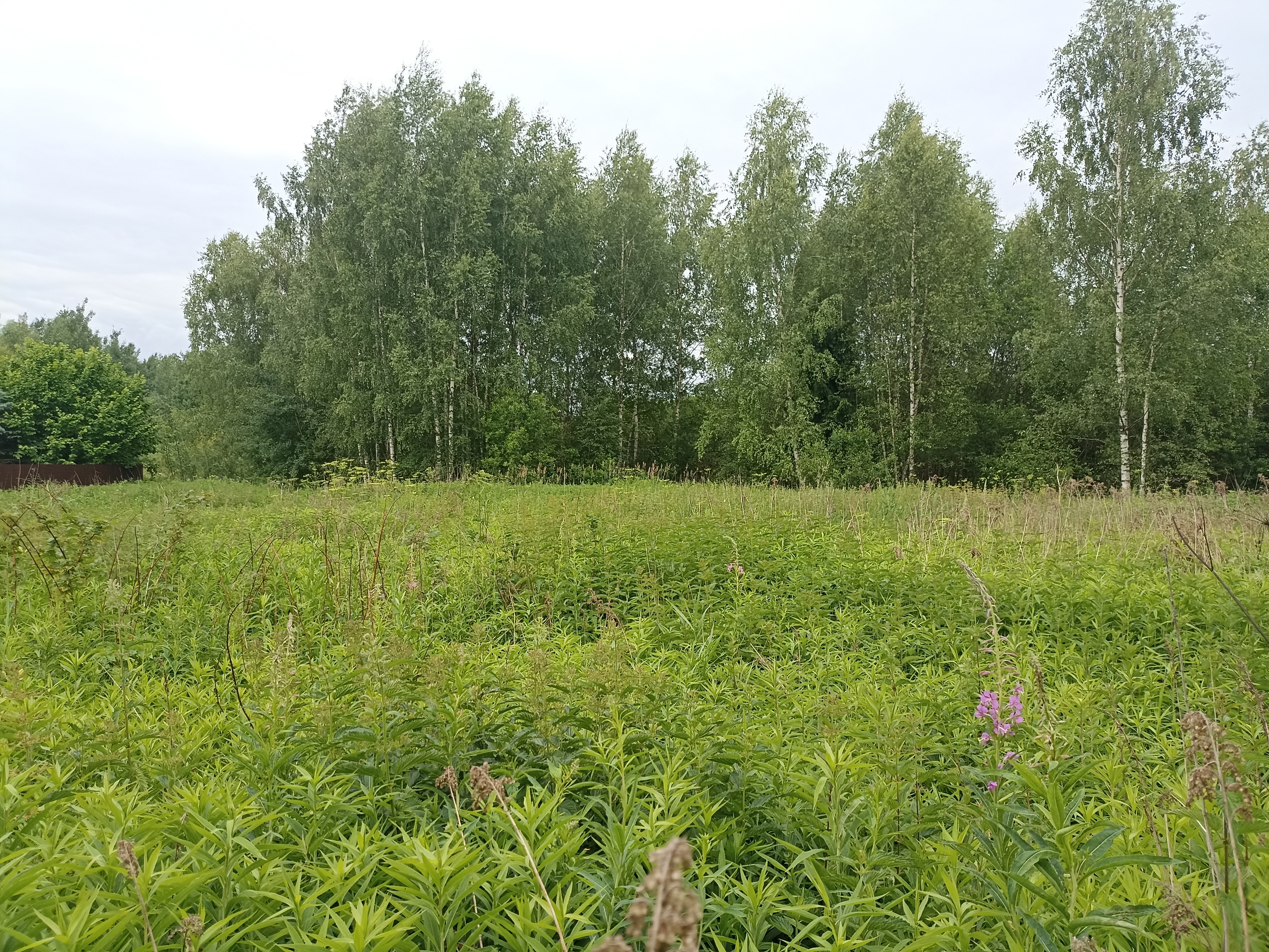 ГП16867586.Земельный участок.Общий вид объекта_7.jpg