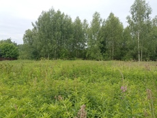 ГП16867586.Земельный участок.Общий вид объекта_7.jpg