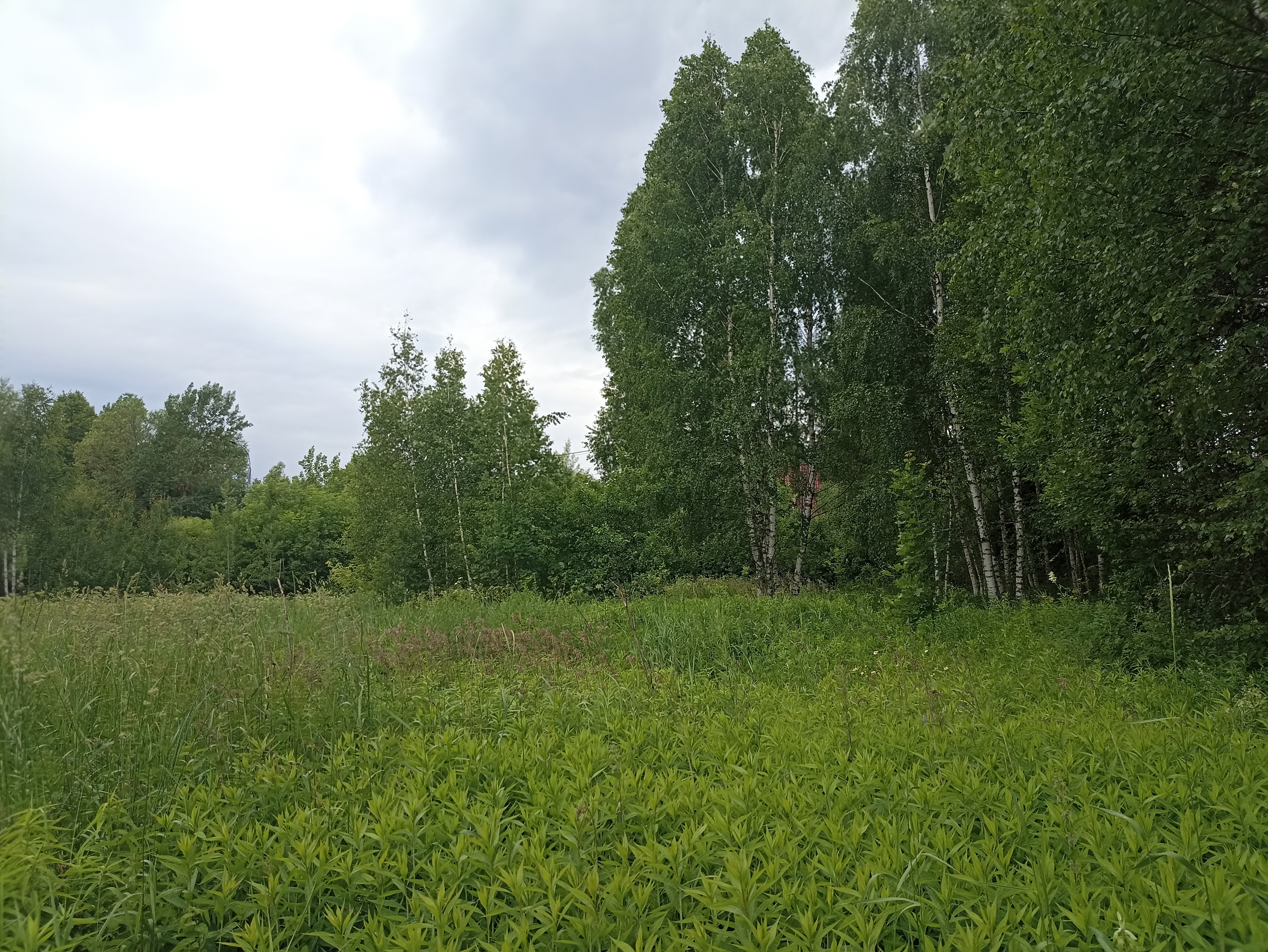 ГП16867586.Земельный участок.Общий вид объекта_3.jpg