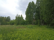 ГП16867586.Земельный участок.Общий вид объекта_3.jpg