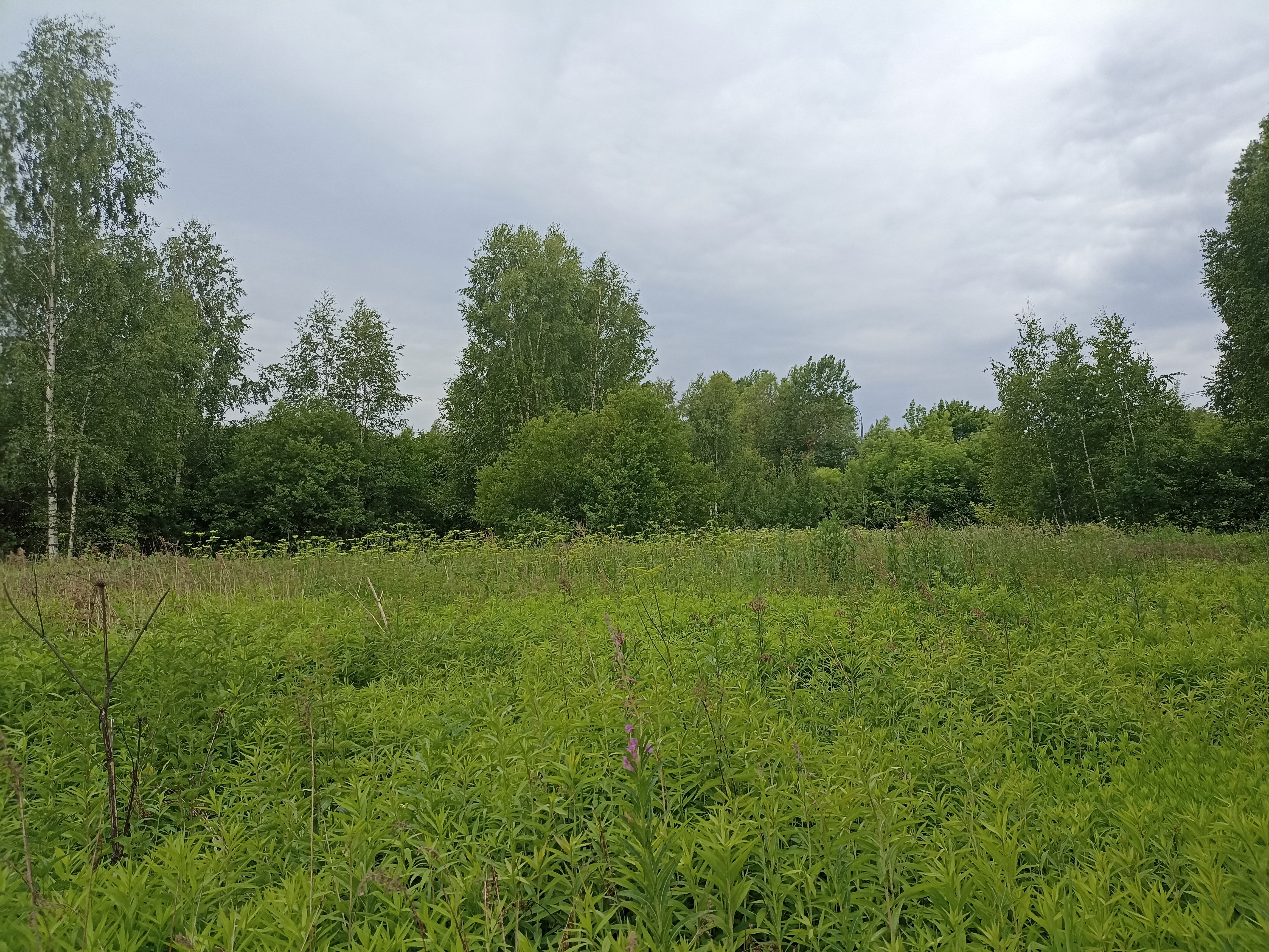 ГП16867586.Земельный участок.Общий вид объекта_6.jpg