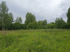 ГП16867586.Земельный участок.Общий вид объекта_6.jpg