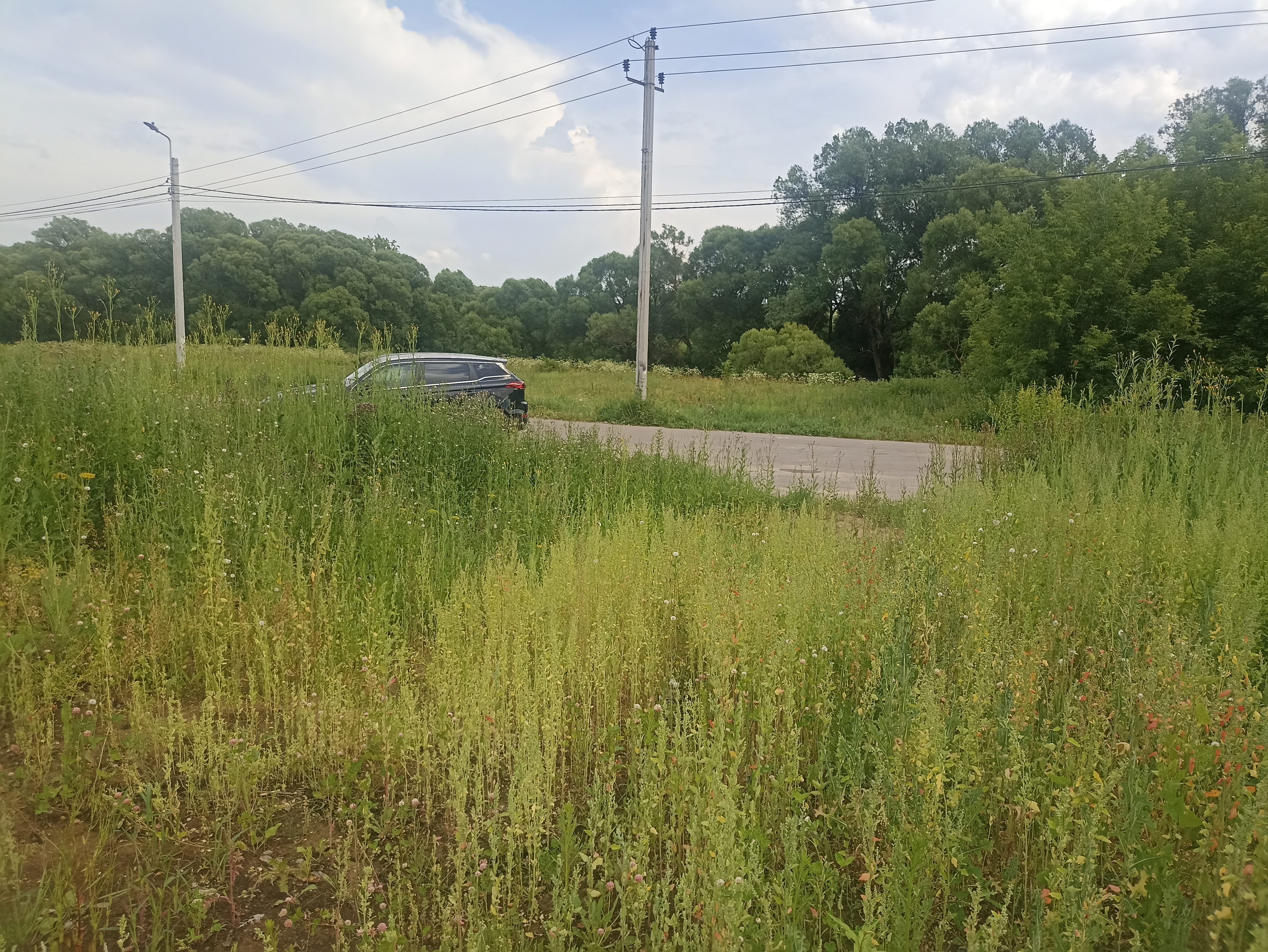 ГП16951866.Земельный участок.Общий вид объекта_11.jpg