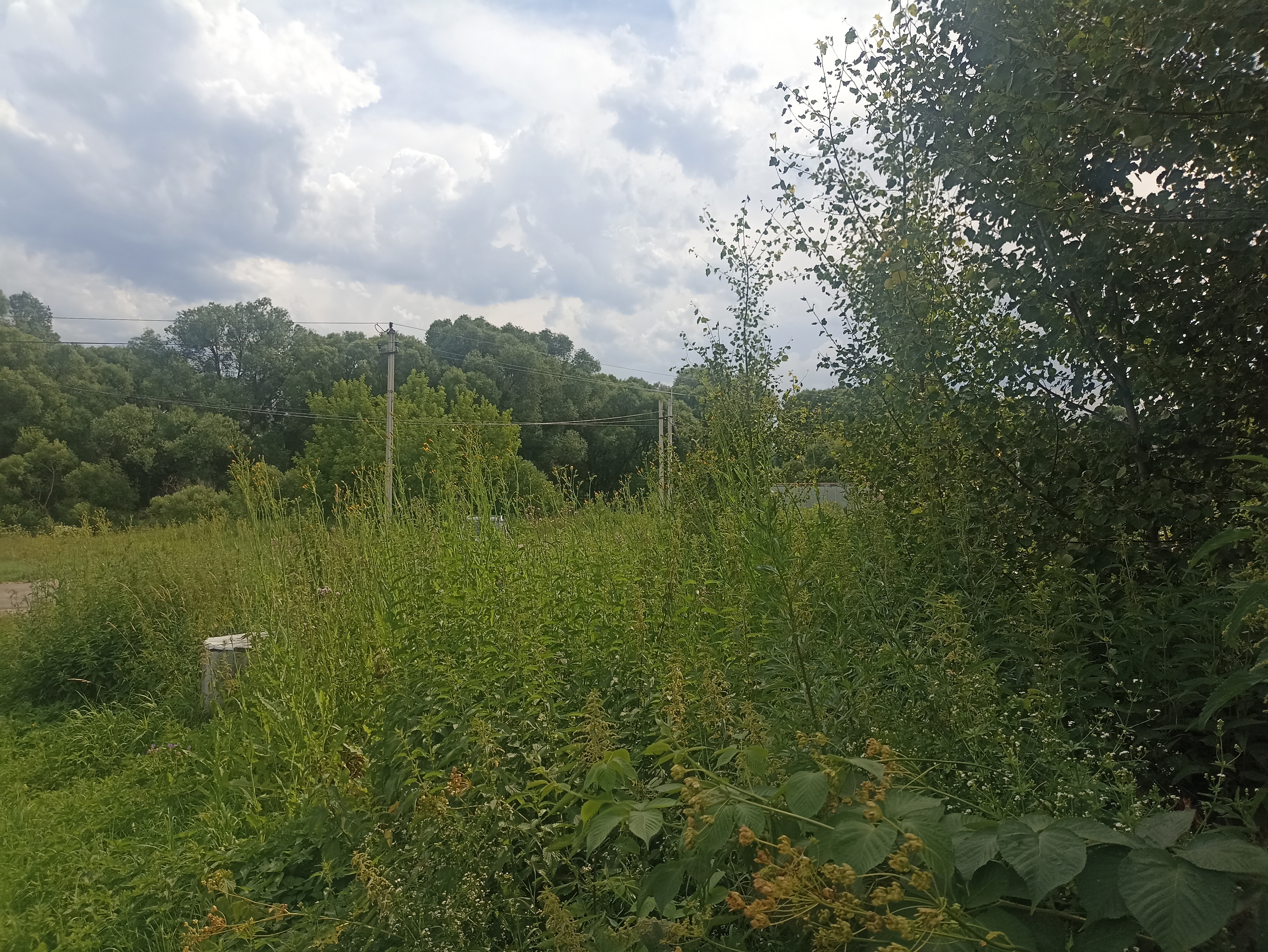 ГП16951866.Земельный участок.Общий вид объекта.jpg