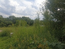 ГП16951866.Земельный участок.Общий вид объекта.jpg