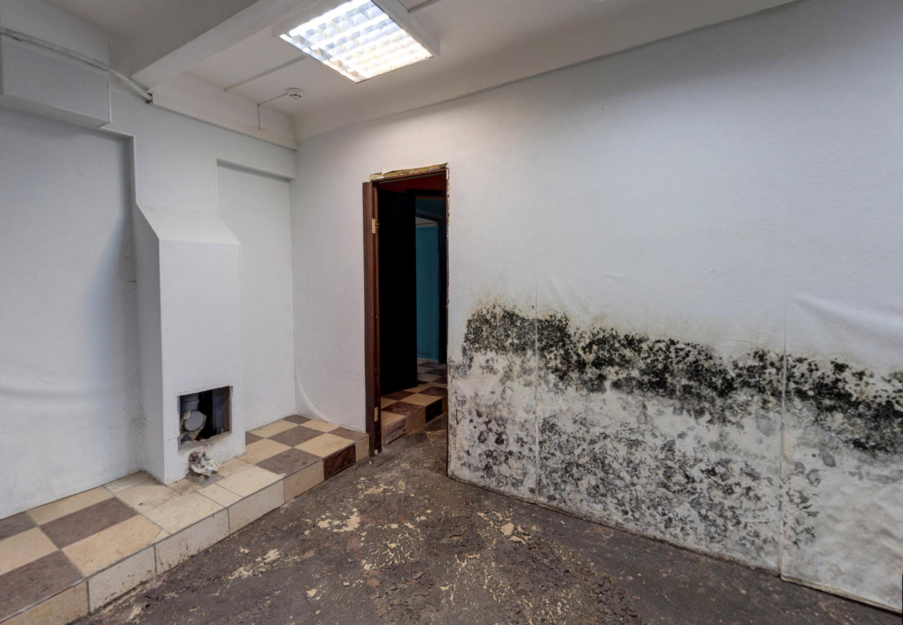 Нежилое помещение.Каждое помещение_комната, входящее в состав реализуемого объекта .город Москва, улица Серпуховский Вал, дом 22, корпус 1 - Подвал _ 0 Подвал _ 0_19.png