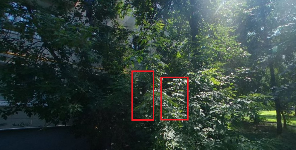 ГП16953465.Квартира.Фасад здания с выделенными окнами реализуемого объекта.png