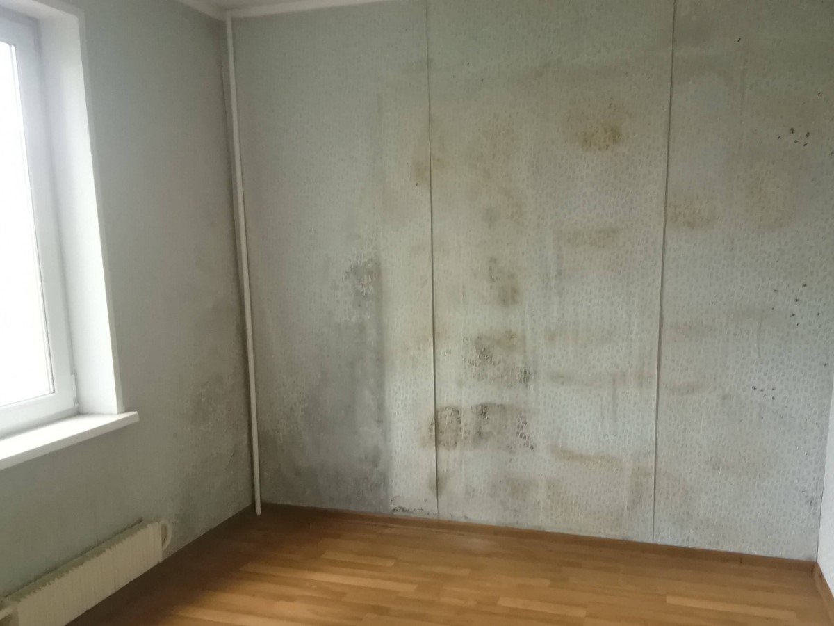 ГП16953579.Квартира.Каждое помещение_комната, входящее в состав реализуемого объекта _4.jpg
