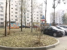 ГП16953648.Квартира.Входная группа объекта.jpg