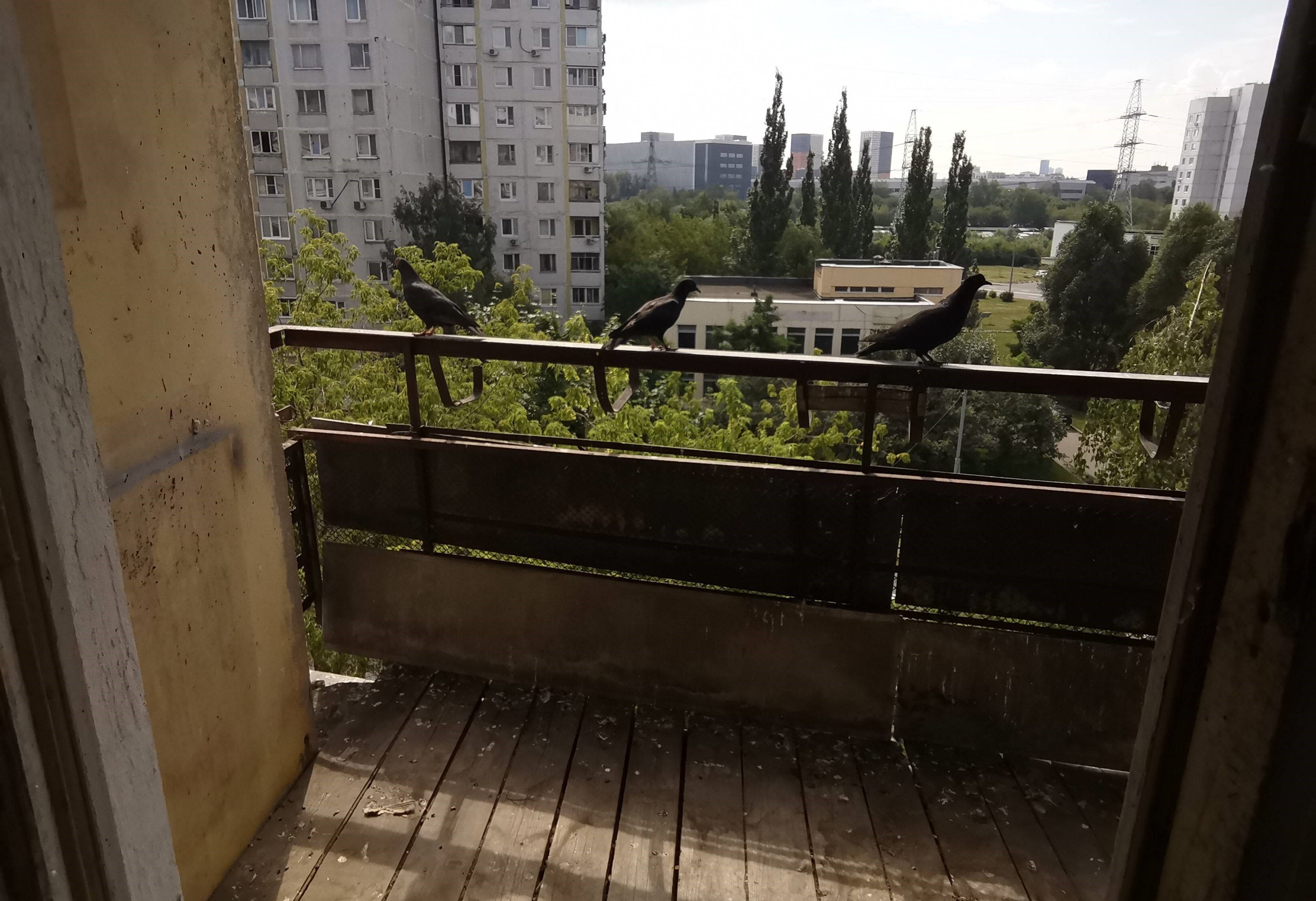 ГП16953730.Квартира.Каждое помещение_комната, входящее в состав реализуемого объекта _10.jpg