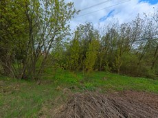 ГП16953524.Земельный участок.Общий вид объекта_5.jpg