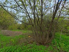 ГП16953524.Земельный участок.Общий вид объекта_4.jpg