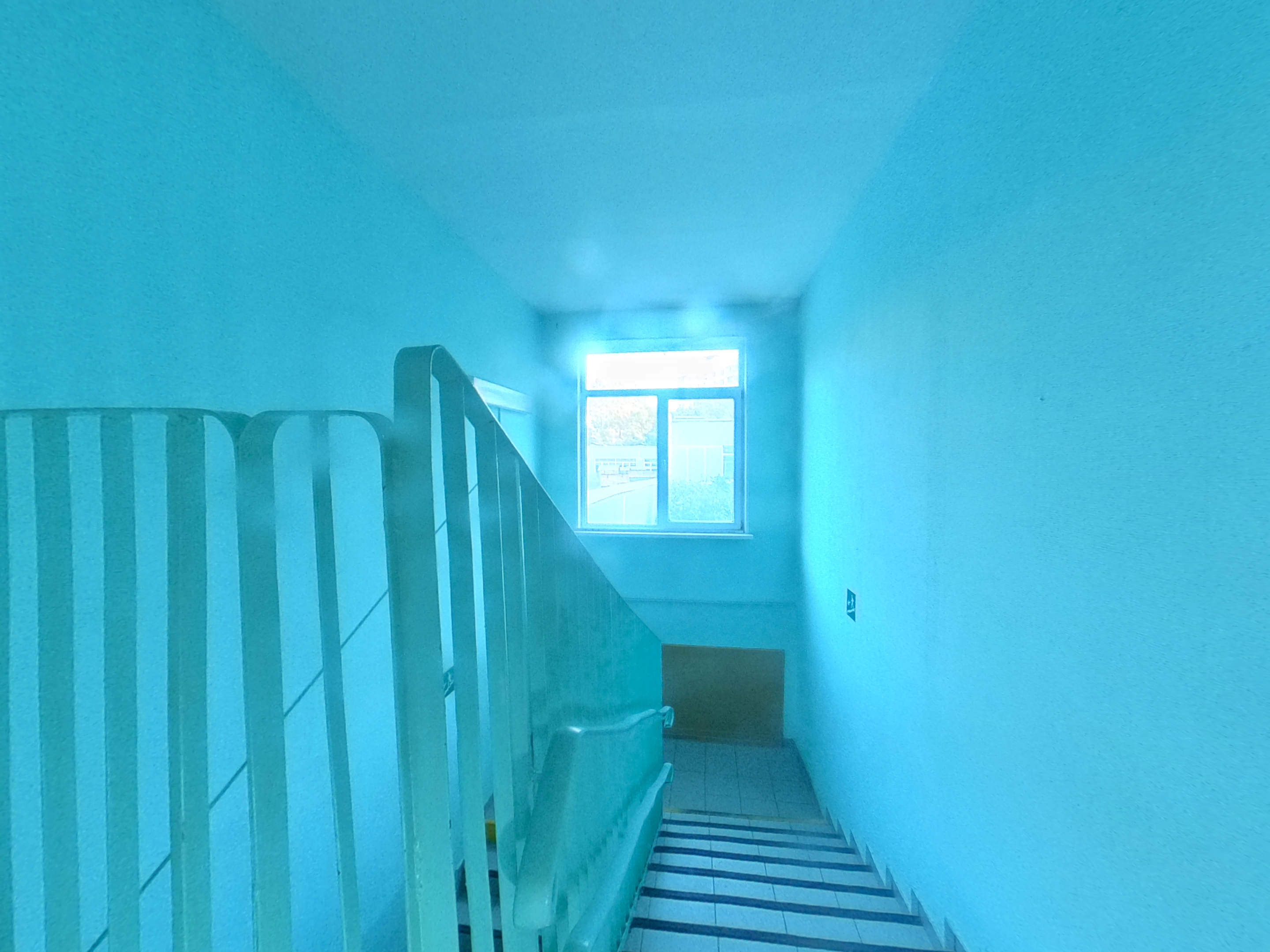 ГП16954420.Здание.Лестничные марши и площадки_4.jpg