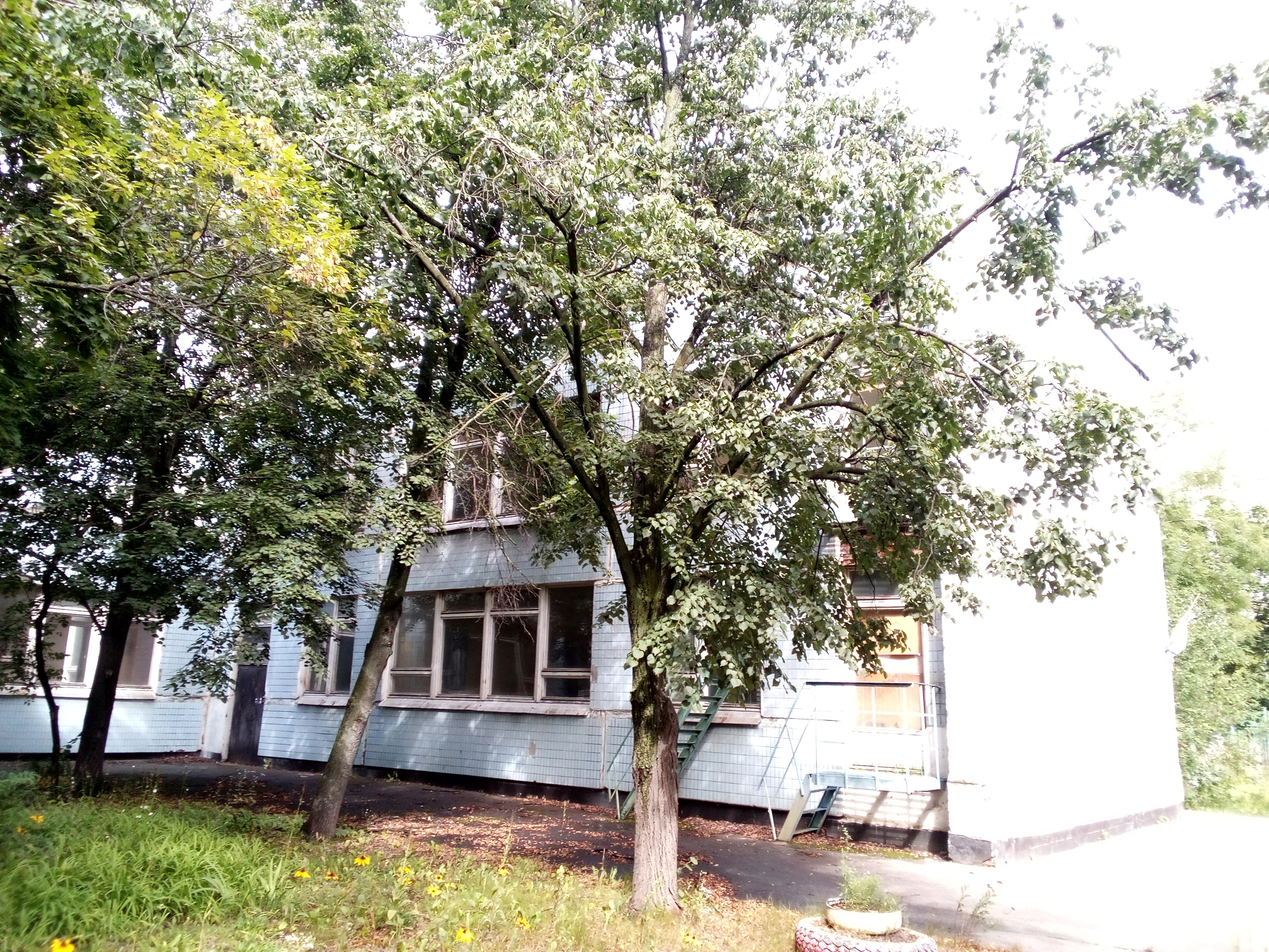 ГП16952639.Здание.Общий фасад здания_3.jpg