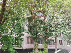 ГП16952783.Квартира.Фасад здания с выделенными окнами реализуемого объекта_2.jpg