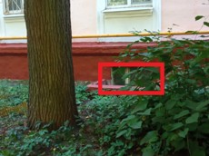 ГП16814552.Нежилое помещение.Фасад здания с выделенными окнами реализуемого объекта_2.jpg