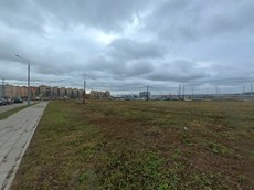 ГП16955719.Земельный участок.Общий вид объекта.jpg