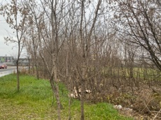 ГП16956544.Земельный участок.Общий вид объекта_10.jpeg