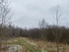 ГП16956545.Земельный участок.Общий вид объекта_6.jpeg