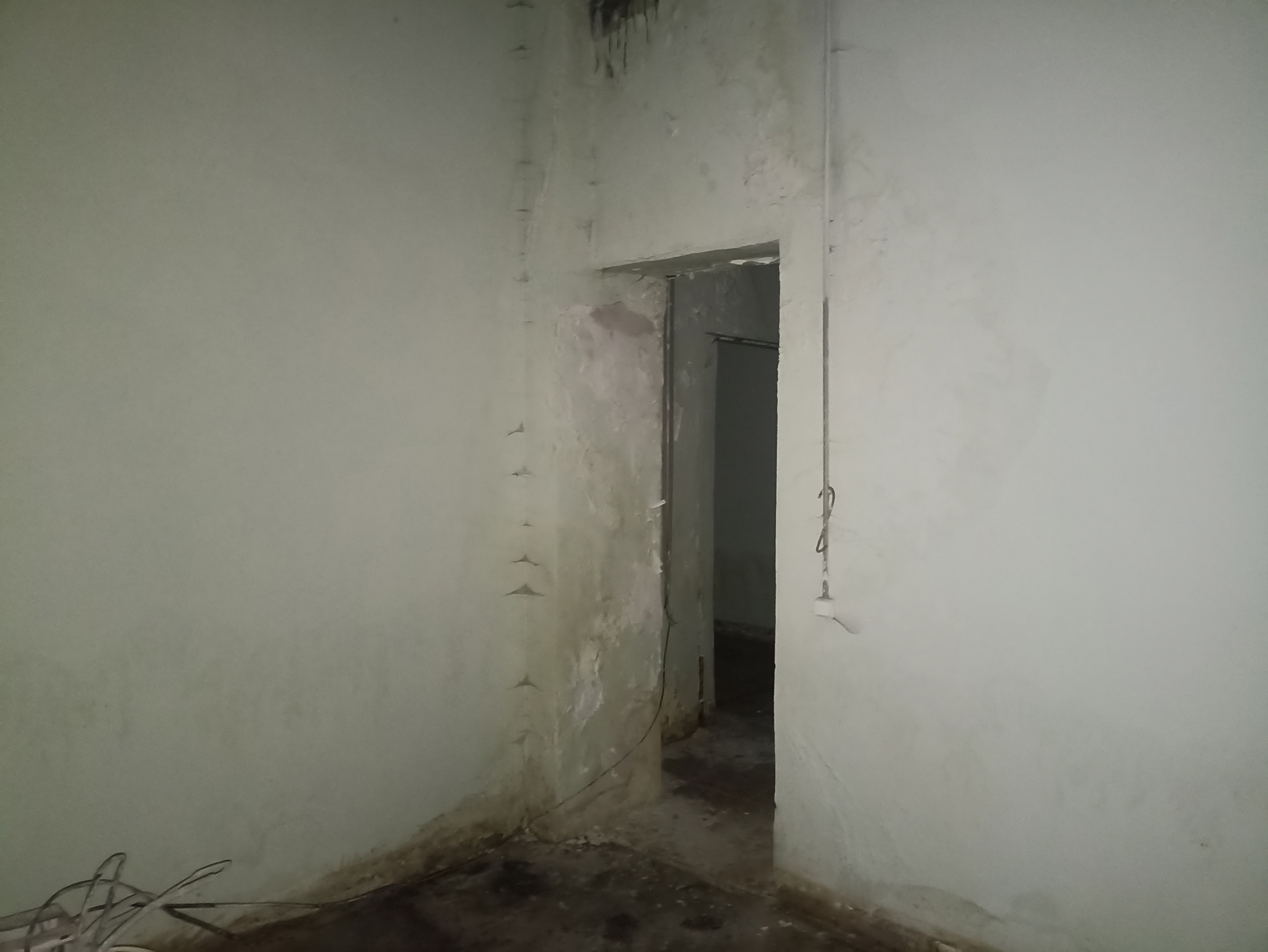ГП16955194.Нежилое помещение.Каждое помещение_комната, входящее в состав реализуемого объекта _5.jpg