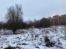 ГП16959582.Некапитальный объект.Общий вид объекта_10.jpg
