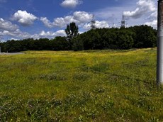 ГП16959586.Некапитальный объект.Общий вид объекта_4.jpeg