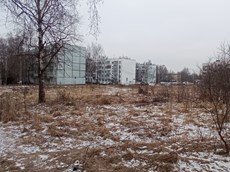 ГП16959807.Земельный участок.Общий вид объекта_4.jpg