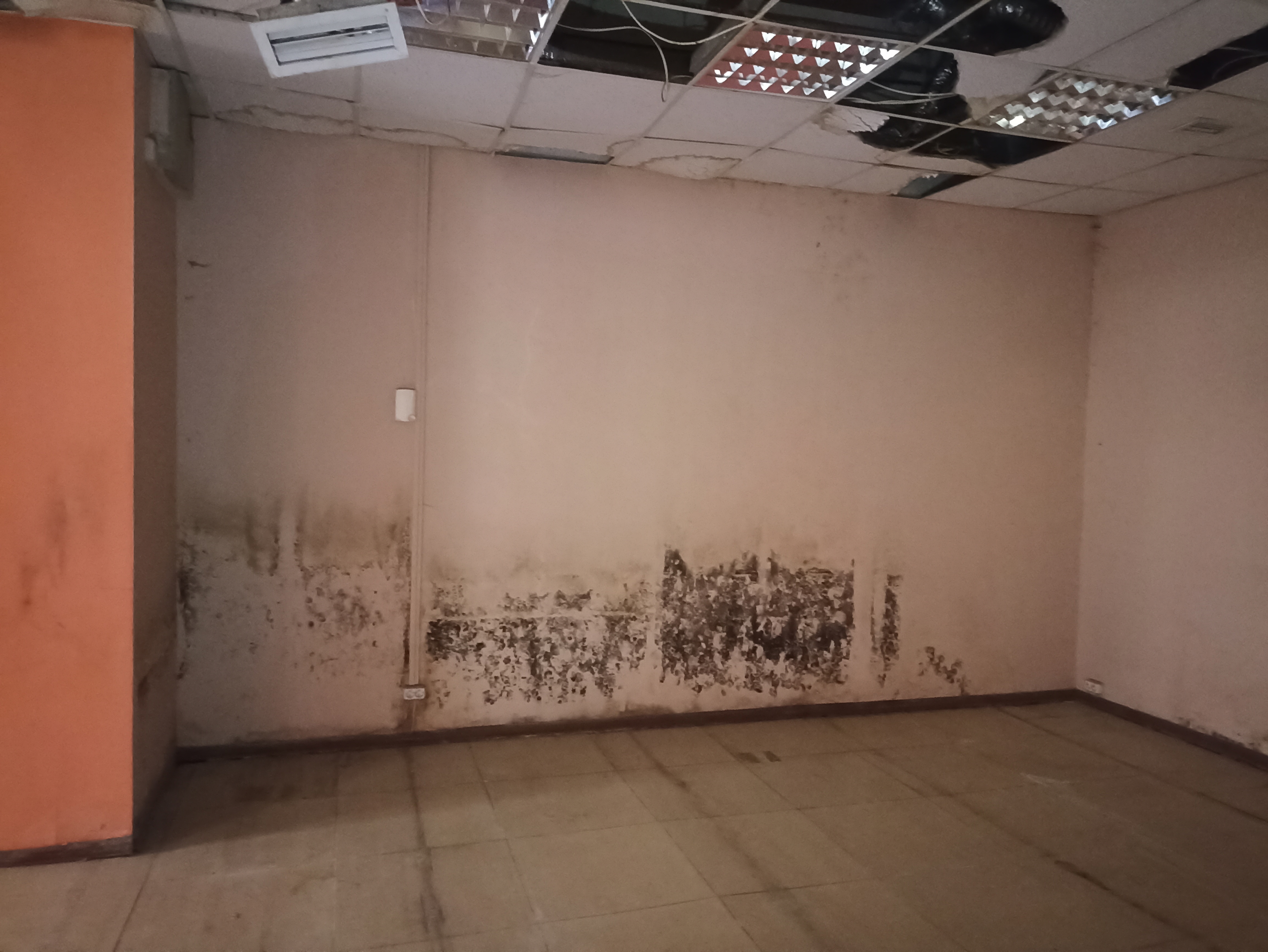 ГП16947881.Нежилое помещение.Каждое помещение_комната, входящее в состав реализуемого объекта .jpg