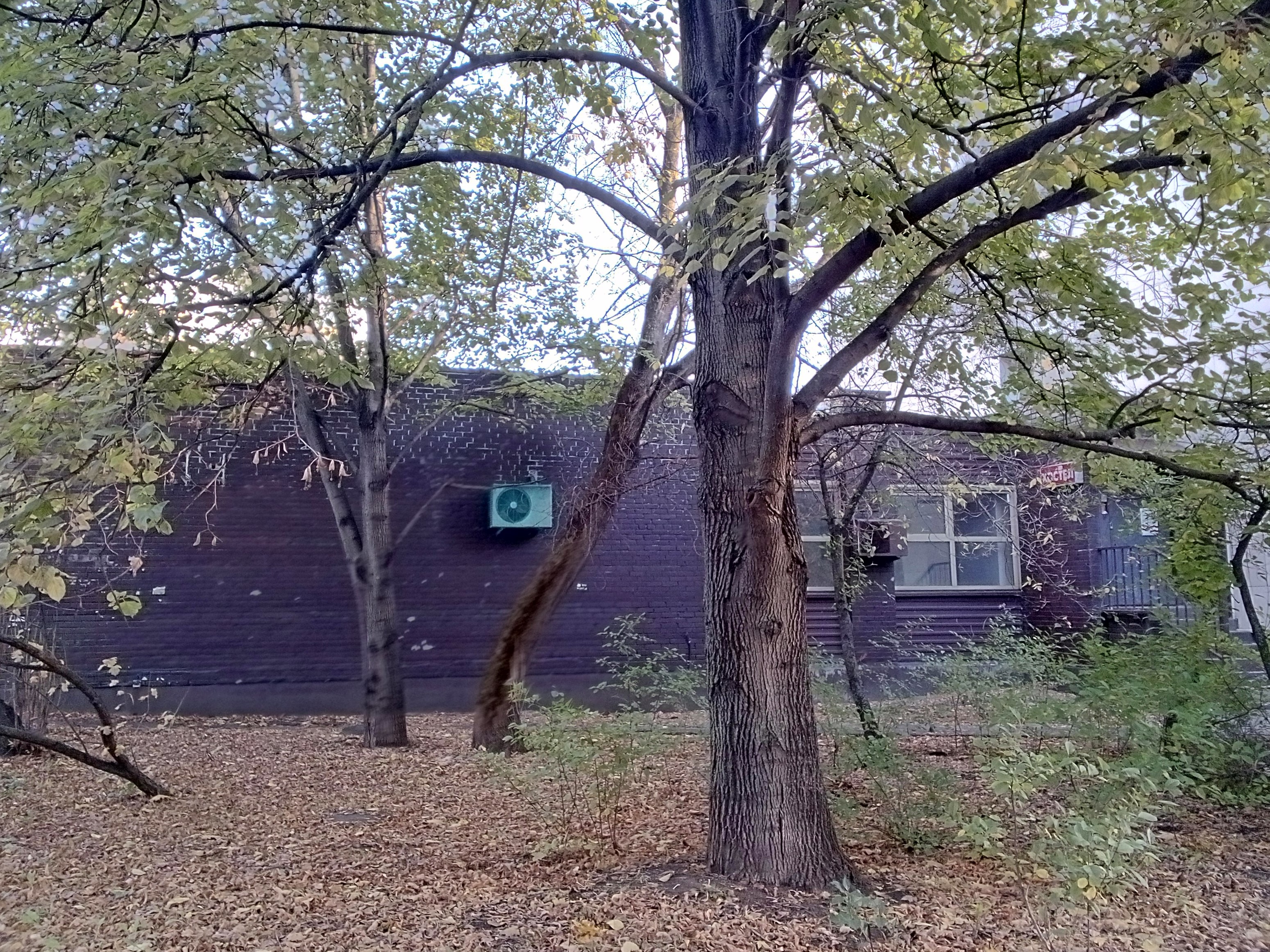 ГП16834031.Нежилое помещение.Общий фасад здания_2.jpg