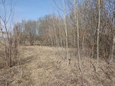 ГП16947945.Земельный участок.Общий вид объекта_2.jpg