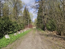ГП16961982.Здание.Подъездные пути_7.jpg