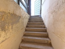 ГП16953306.Здание.Лестничные марши и площадки.jpg