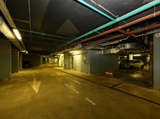 1DS38436.jpg