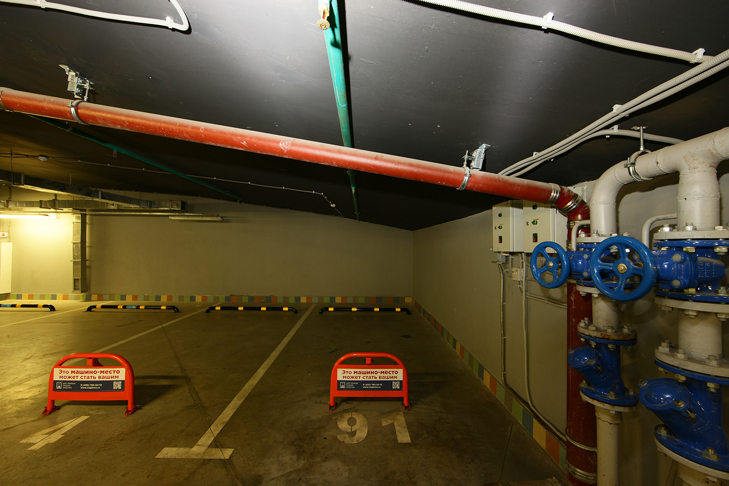1DS38236.jpg