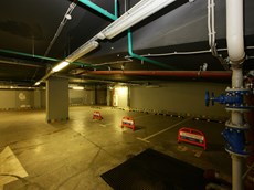 1DS38237.jpg
