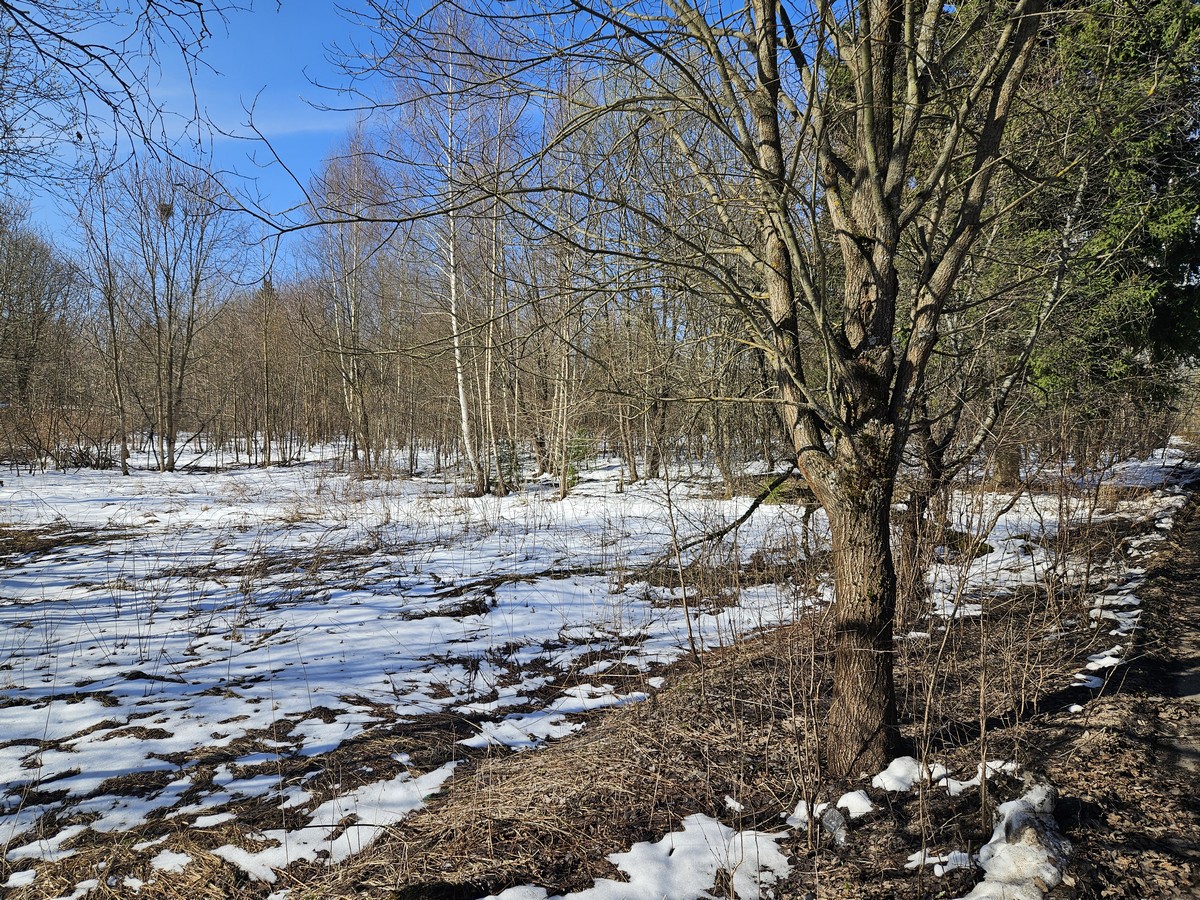 ГП16816158.Земельный участок.Общий вид объекта_10.jpg