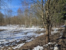 ГП16816158.Земельный участок.Общий вид объекта_10.jpg