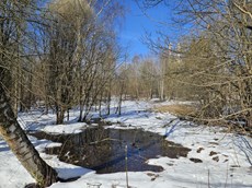 ГП16816158.Земельный участок.Общий вид объекта_10.jpg