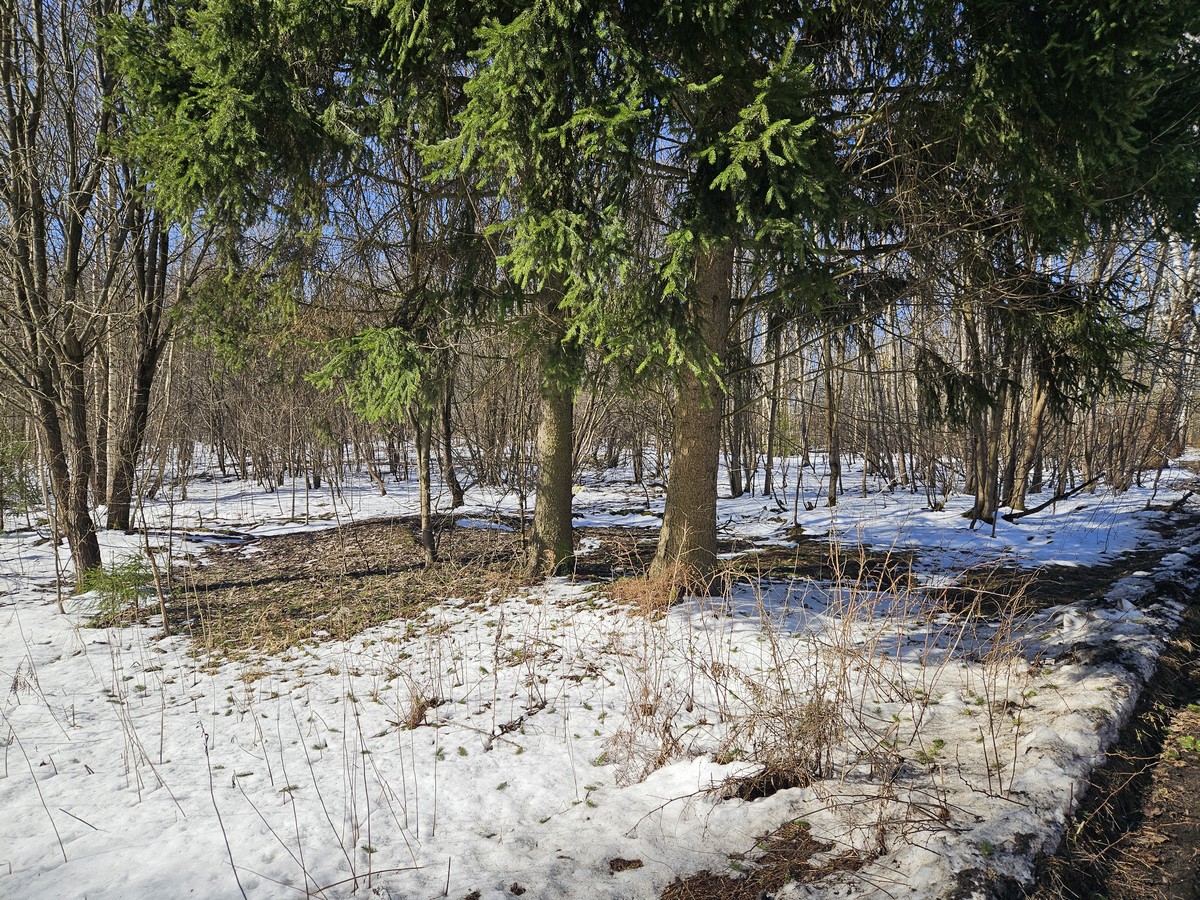 ГП16816158.Земельный участок.Общий вид объекта_10.jpg