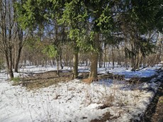 ГП16816158.Земельный участок.Общий вид объекта_10.jpg