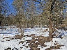 ГП16816158.Земельный участок.Общий вид объекта_10.jpg