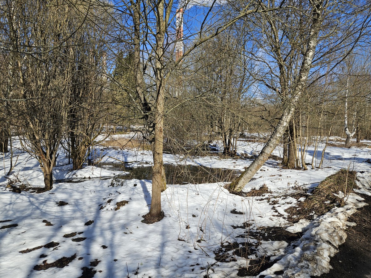 ГП16816158.Земельный участок.Общий вид объекта_10.jpg