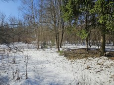 ГП16816158.Земельный участок.Общий вид объекта_10.jpg