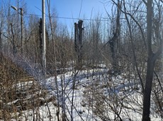 ГП16816158.Земельный участок.Общий вид объекта_10.jpg