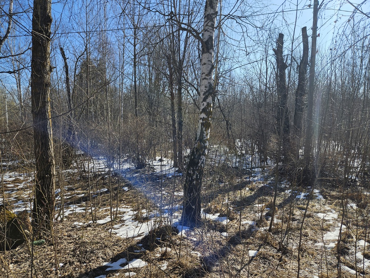ГП16816158.Земельный участок.Общий вид объекта_10.jpg